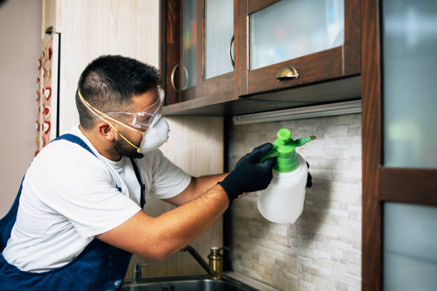 Best Residential Pest Control  in Grand Rapids, MI