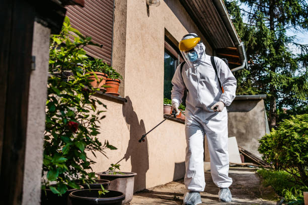 Best Wasp Removal Services  in Grand Rapids, MI