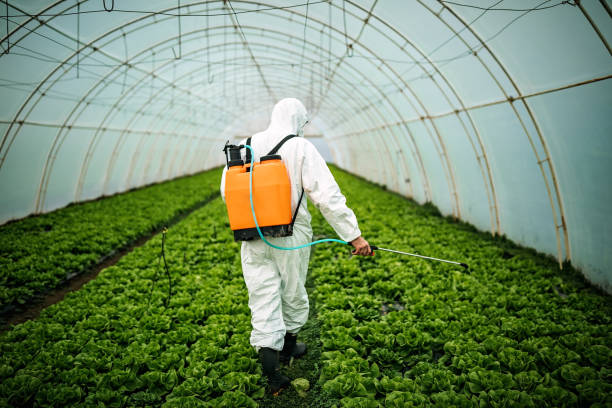 Best Pest Inspection Near Me  in Grand Rapids, MI