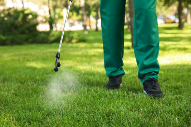 Reliable Grand Rapids, MI Pest Control Solutions