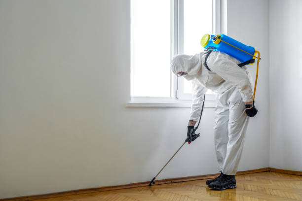 Pest Control for Restaurants in Grand Rapids, MI