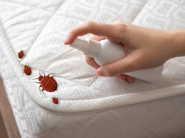 Best Best Pest Control Companies  in Grand Rapids, MI